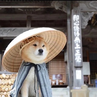 Telegram: view @mkcloudchat